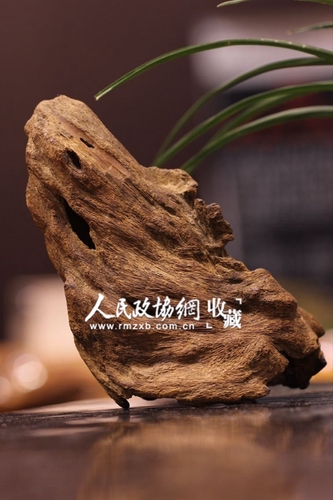 富森红土回流摆件