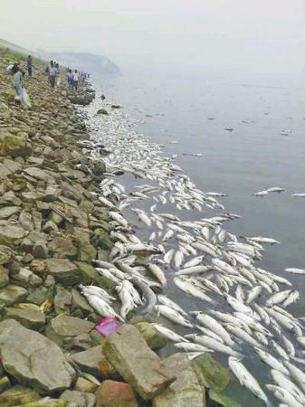 白沙水库