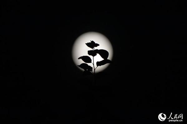 超级月亮 换