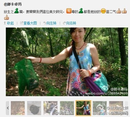 广东女子在公园放生五步蛇眼镜蛇等多条毒蛇9