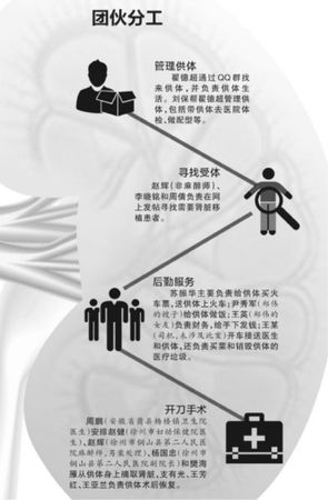 买肾团伙分工