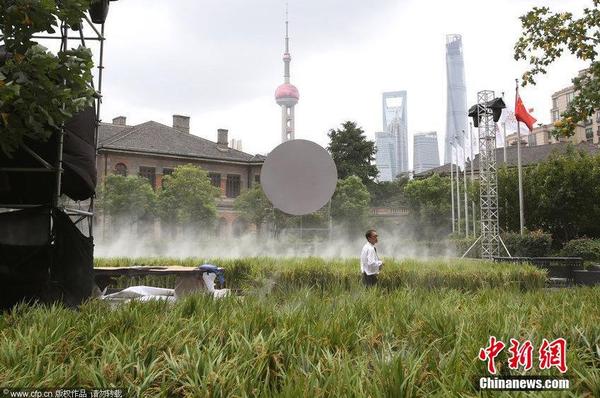 2014年9月14日，地处上海外滩源的圆明园路被布置成了一片“水稻田”，长2、3百米、宽7、8米“水稻田”基本覆盖了整条马路。据悉，这些即将成熟的水稻是从市郊金山区运抵过来，将作为一个商业活动应景的道具。