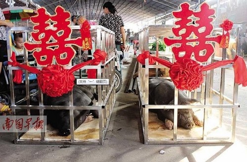 QQ图片20140916134642