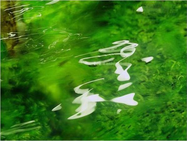 秦玉海《真水》系列摄影作品