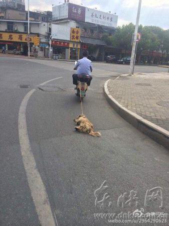 老人骑着电动车拖着小狗