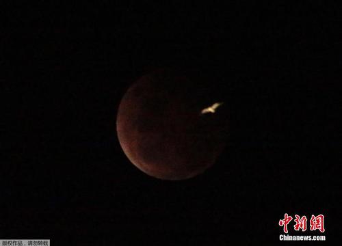 当地时间2014年10月8日，澳大利亚悉尼，月全食开始出现。