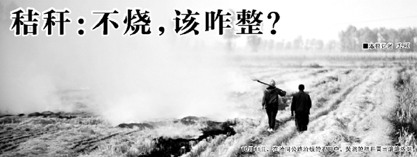 10月11日，在哈同公路沿线的农田中，焚烧的秸秆冒出滚滚浓烟。