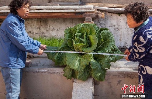 QQ图片20141021124245