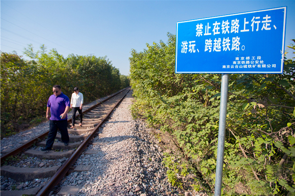 南京“爱情隧道”年底将砍光-网友：刀下留树2