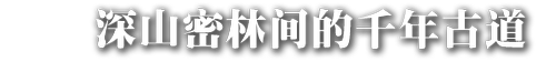 yunnan_common_08