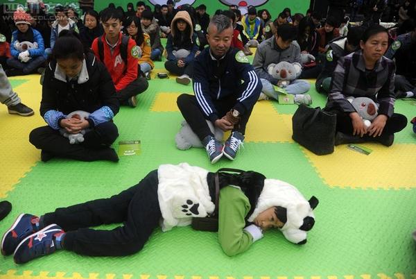11月18日，首届全国“发呆大赛”首站在成都宽窄巷子举行。3