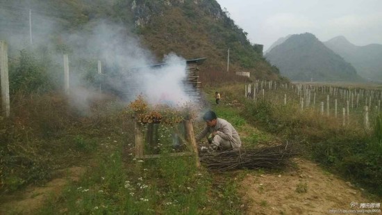火熏治疗2