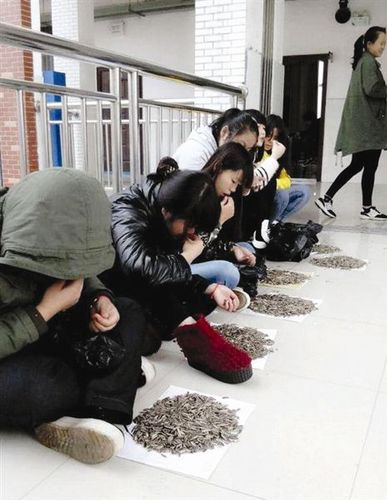 学生在嗑瓜子