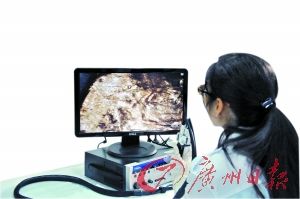 工作人员正在对一片出土的金箔进行分析和信息采集。 工作人员正在对一片出土的金箔进行分析和信息采集。