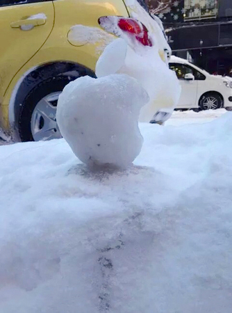 日本果粉雪天通宵排队　警察拍肩确认死活3