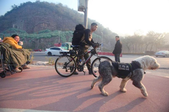 广西小伙用工作犬拉轮椅携患病女友游全国6