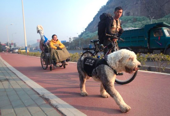 广西小伙用工作犬拉轮椅携患病女友游全国5