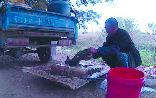 佛山当街烘烤活猫狗-如此屠杀令人愤怒不已2