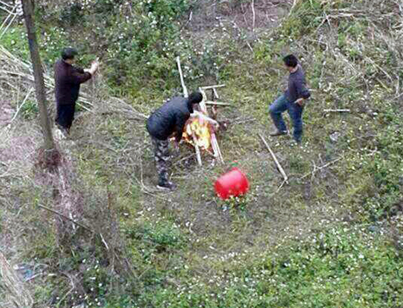 学校教官在女生宿舍楼下当场杀狗烤食4