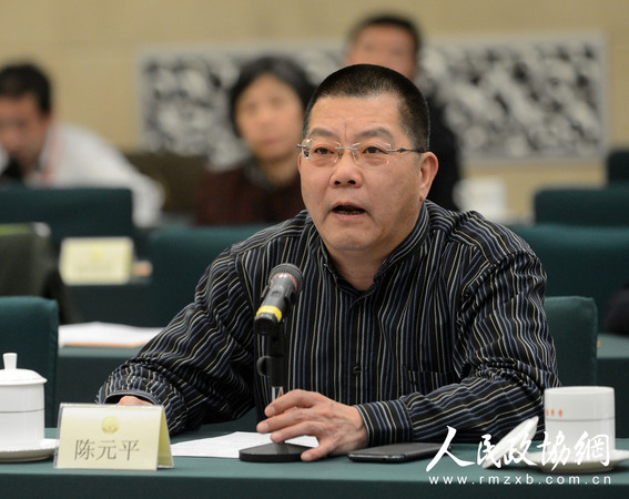 陈元平发言