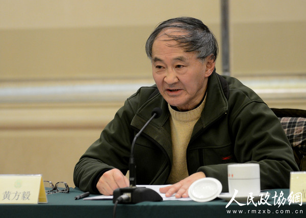 黄方毅发言