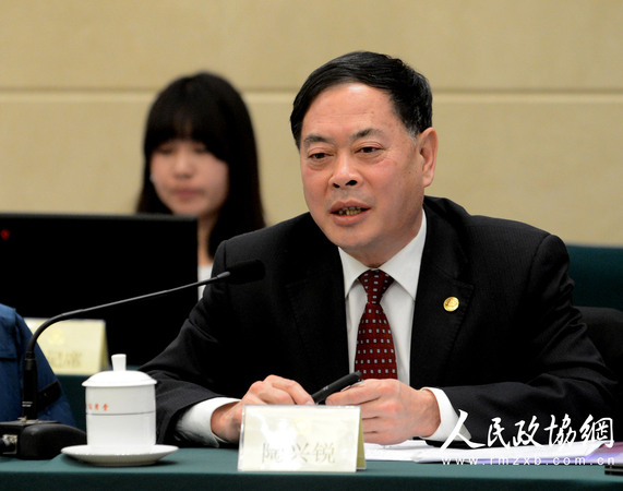 陶兴锐发言