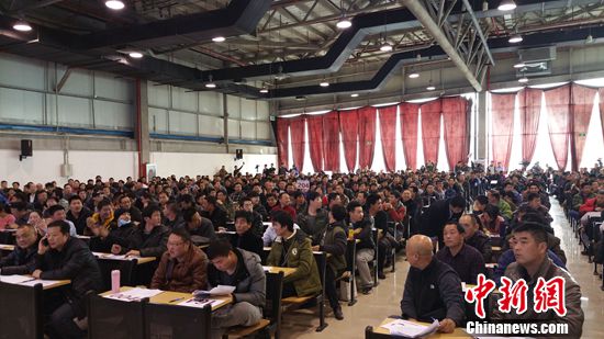 “任性”买家频现 中央级公车拍卖溢价率高引关注1