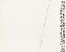 image11