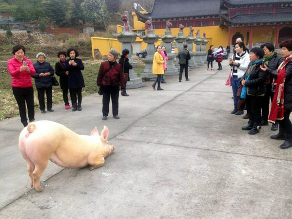 QQ截图20150226103732