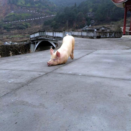 QQ截图20150226103742