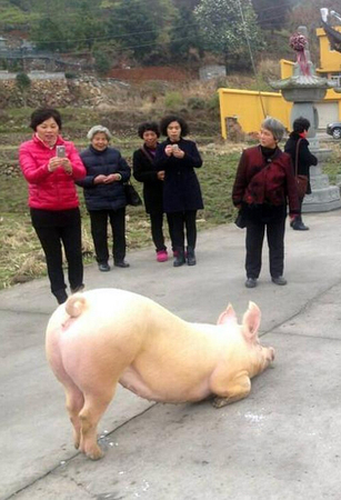QQ截图20150226103752