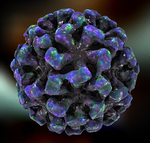 W020150227597336280653 W020150227597336280653