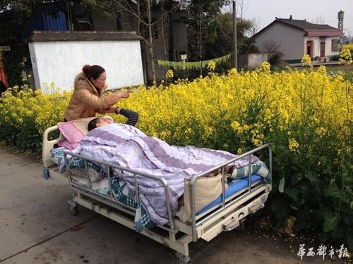 图为张高萍推着丈夫看油菜花