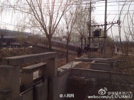 网友供图