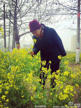 皱纹比岁月更美-奶奶踏青照走红网络4