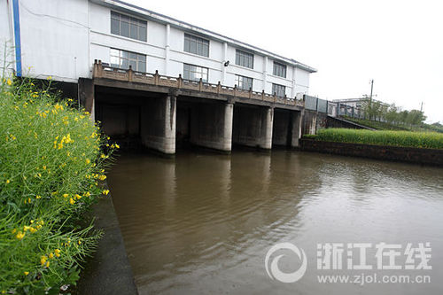 排涝闸内侧水域情况