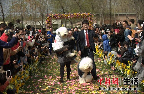 QQ截图20150413091636