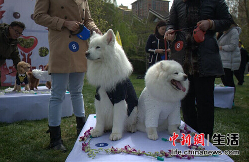 QQ截图20150413091649