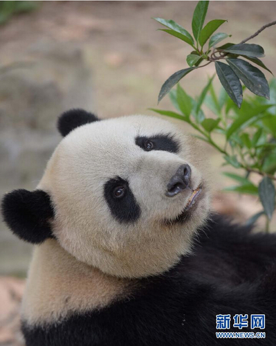 QQ截图20150420101602