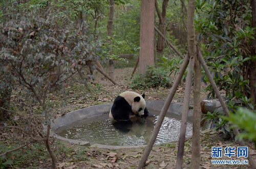 QQ截图20150420101609