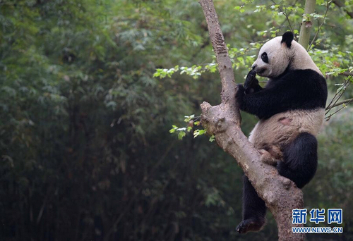 QQ截图20150420101616