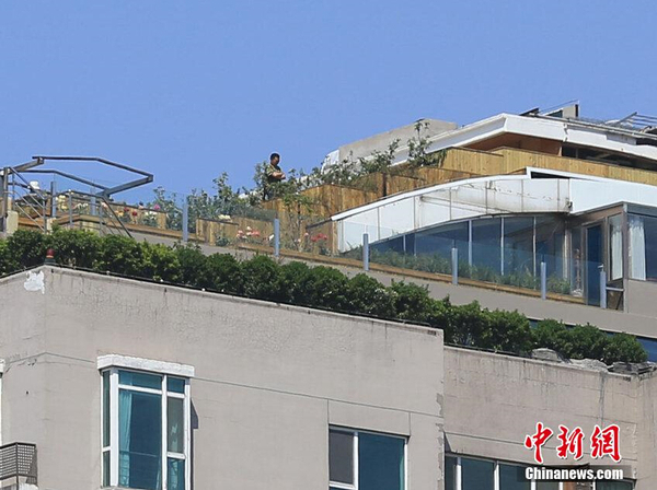 北京楼顶“最牛违建”被拆除后业主又种上树3