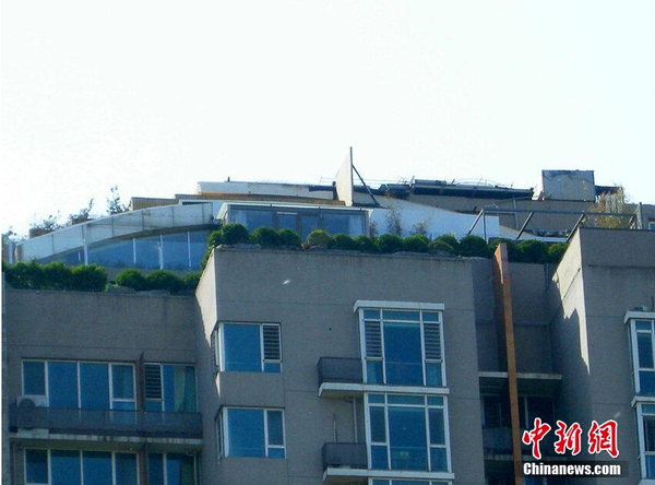 北京楼顶“最牛违建”被拆除后业主又种上树2