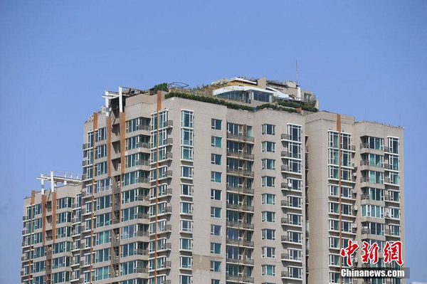 北京楼顶“最牛违建”被拆除后业主又种上树1