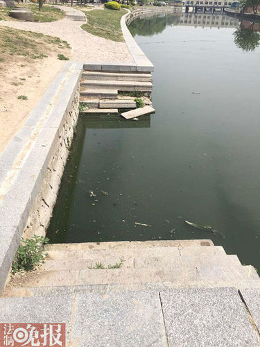 图为尸体打捞上岸处