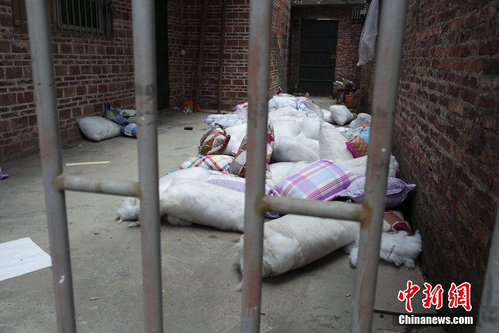 QQ截图20150424095228