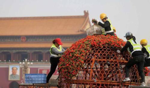 目前天安门广场正在进行五一花坛的摆放摄 记者杨益