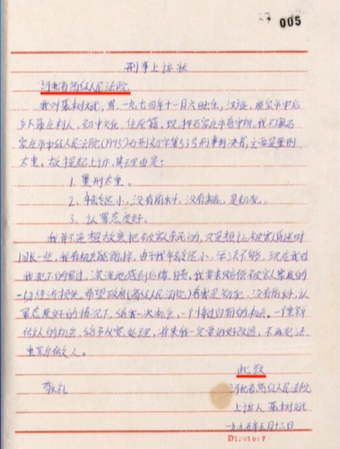 聂树斌亲笔上诉状