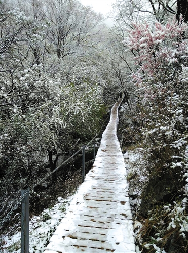 昨日中午，灵山上飘起小雪，至下午3点30分左右雪停。