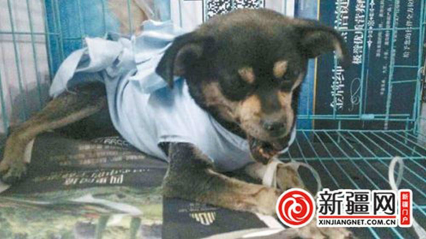 QQ截图20150513201906